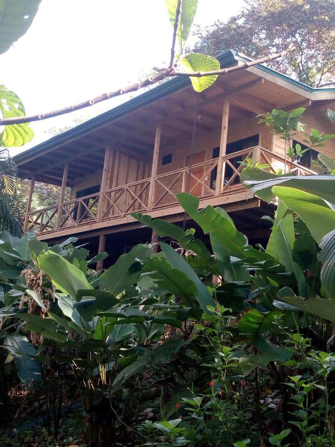 Forest Lodge Uvita Eksteriør bilde